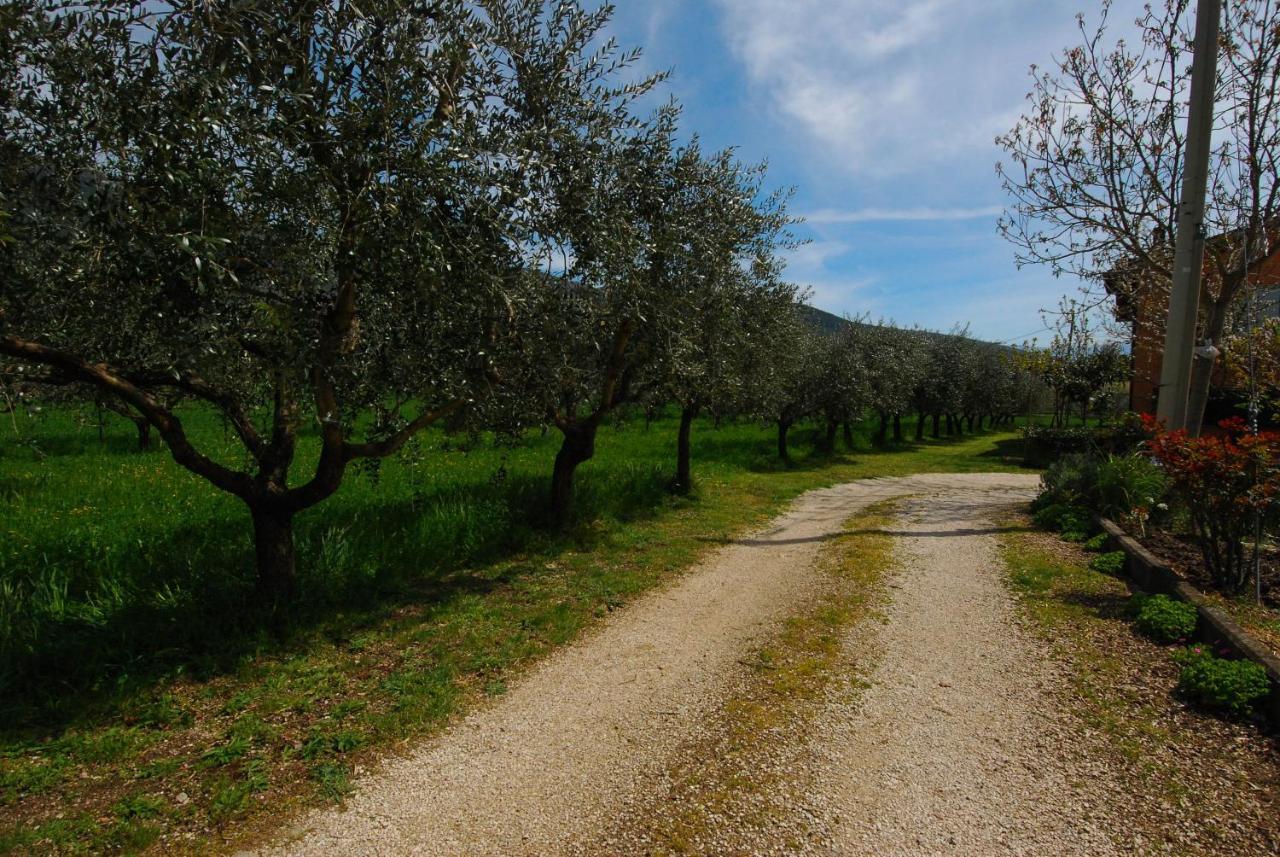 דירות Passaggio di Assisi Casa Fiorelli מראה חיצוני תמונה